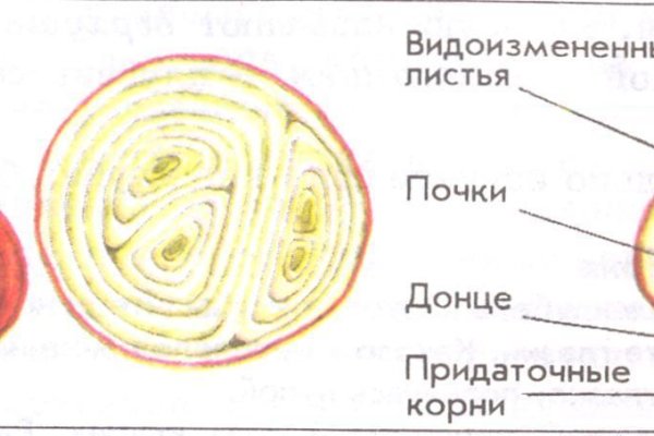 Сайт кракен онион
